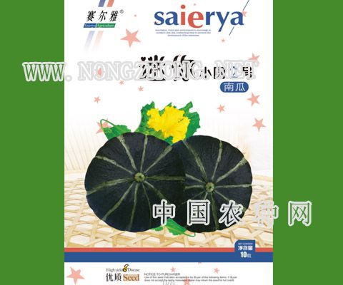 迷你小圆2号